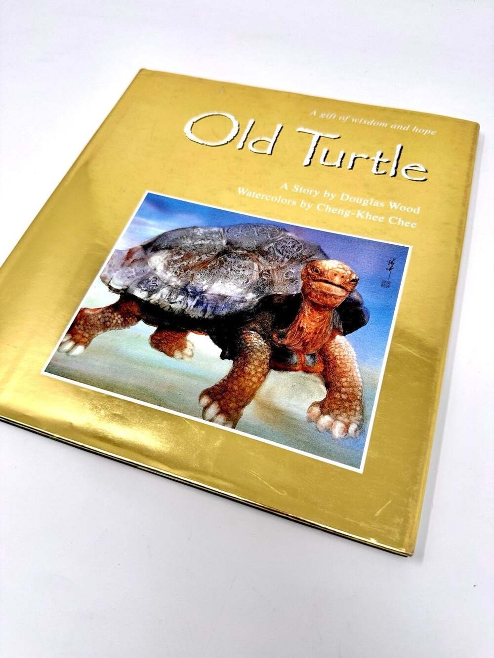 Old Turtle by Douglas Wood Gold Edition Illustrated Hardcover bestseller book